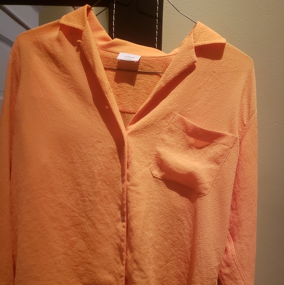 Aritzia Button-up Blouse - Picture 3 of 3